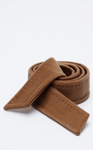 Paski Max Mara 101801 Kawa | MMR594245