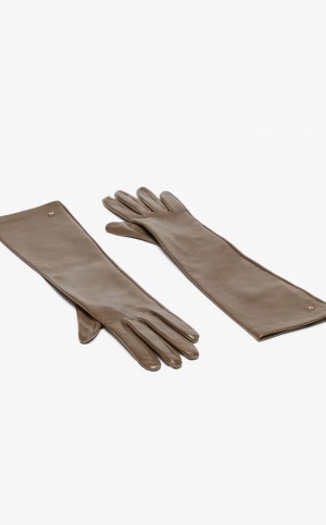 Rękawiczki Max Mara Nappa Skórzane Brązowe | MMR594231