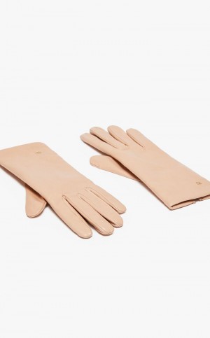 Rękawiczki Max Mara Nappa Skórzane Różowe | MMR594233