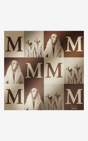 Szaliki Max Mara Printed Silk Scarf Beżowe | MMR594282