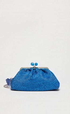 Weekend Bag Max Mara Medium Pasticcinoin Raffia Niebieskie | MMR594142